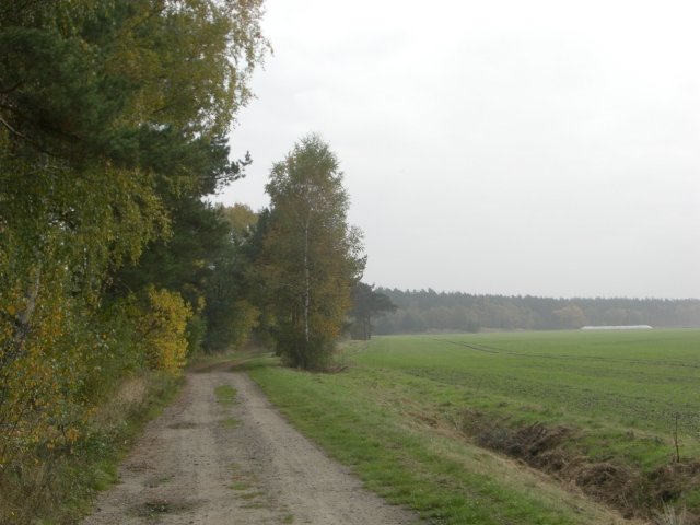 CTF Celle Strecke 089